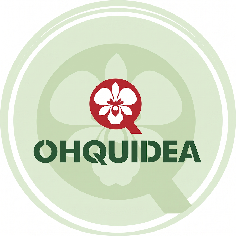 Ohquidea